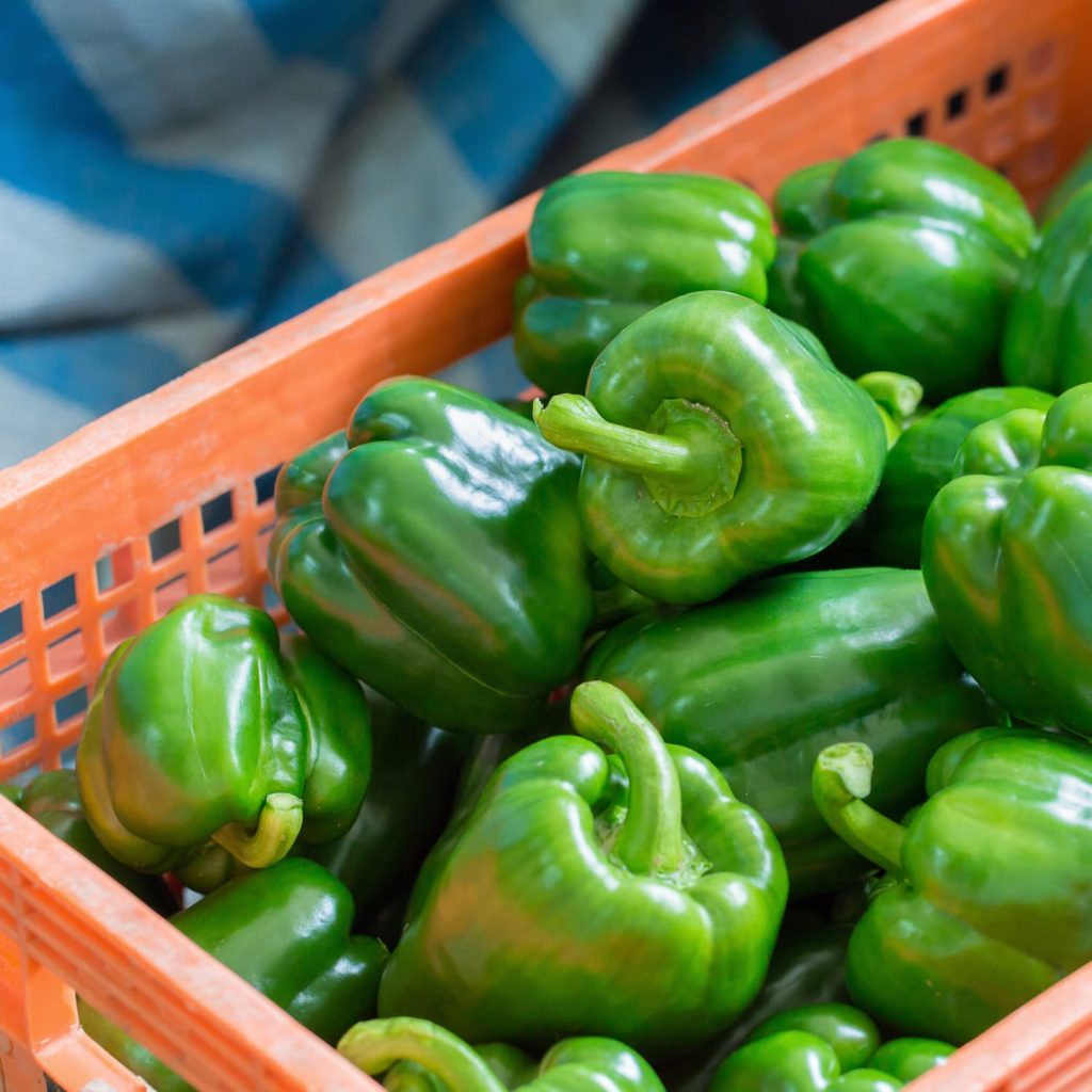 Green Bell Peppers