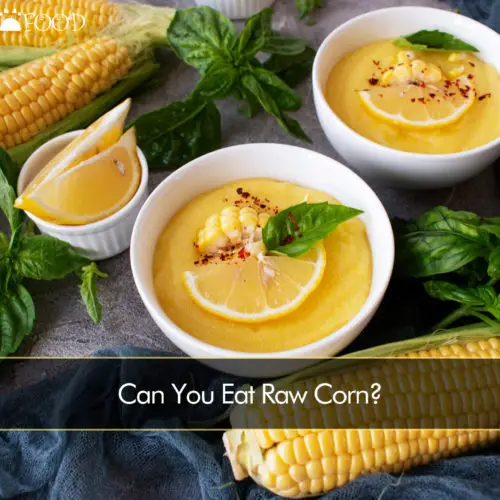 Can You Eat Raw Corn?