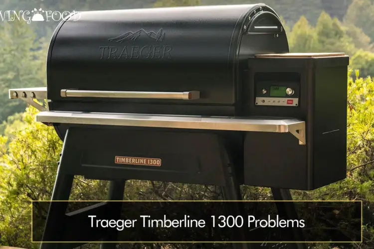 Traeger Timberline 1300 Problems
