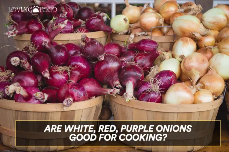 Are White, Red, Purple Onions Good For Cooking?