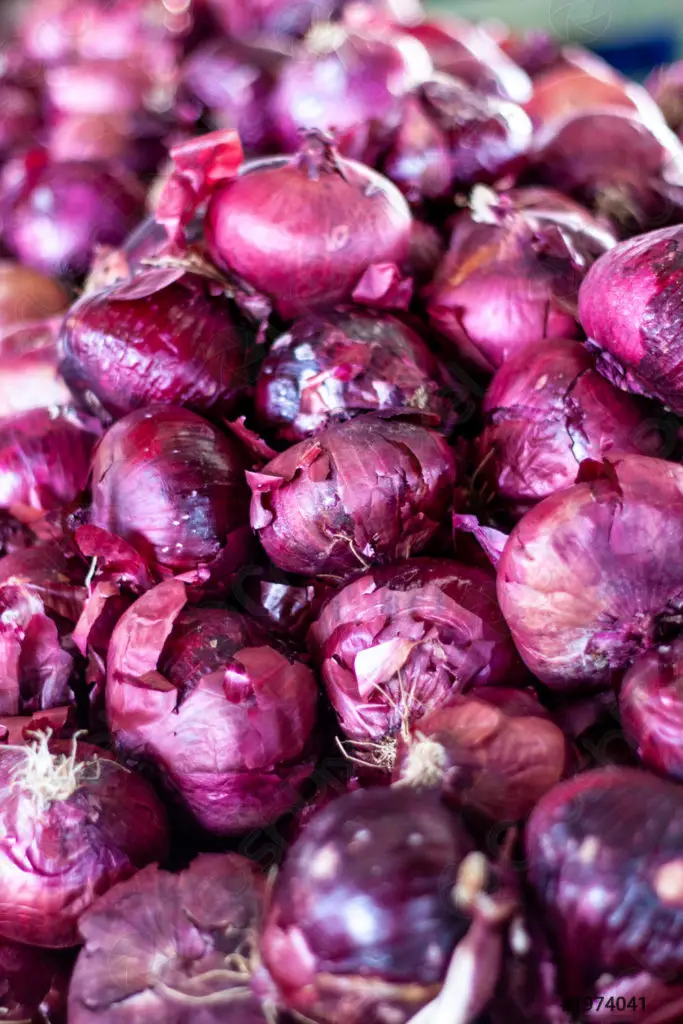 Purple Onions