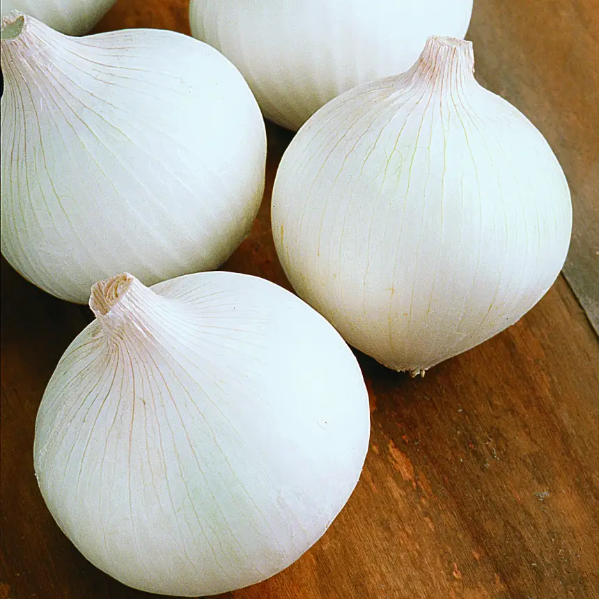 White onions