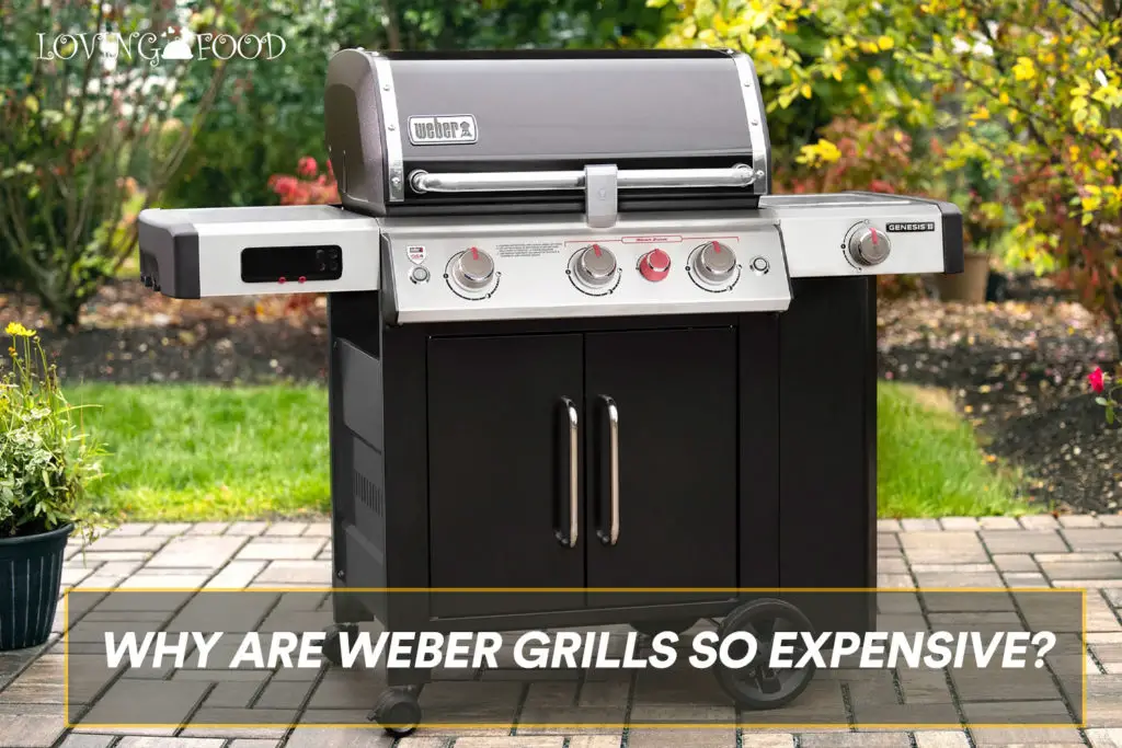 Why Are Weber Grills so Expensive?