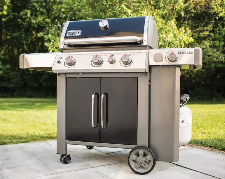 Why Are Weber Grills So Expensive? (2022) | Loving Food