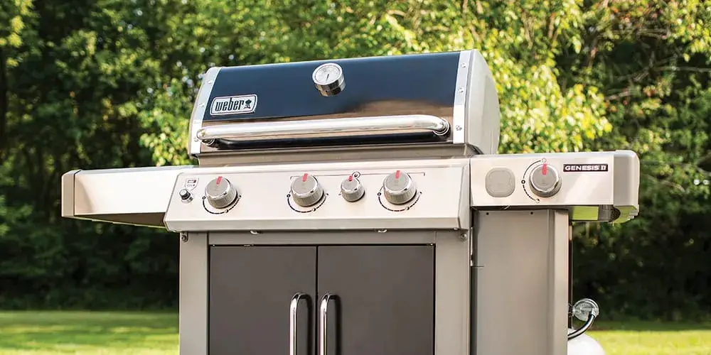 weber grill image