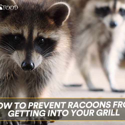 Prevent Racoons From Getting Into Your Grill