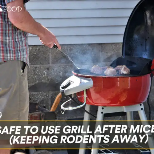 Safe To Use Grill After Mice?