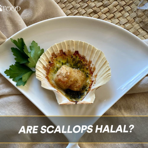 Are Scallops Halal?