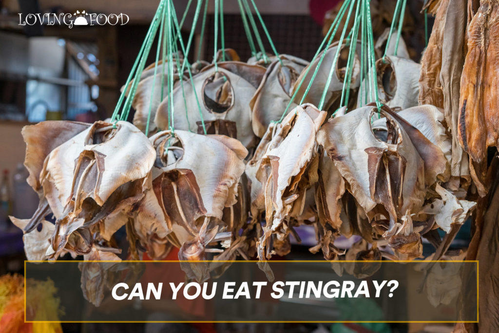 Can You Eat Stingray? (MUST READ)