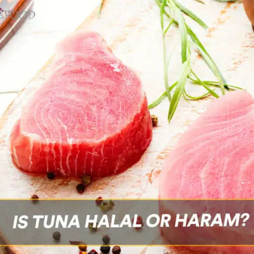 Is Tuna Halal Or Haram?