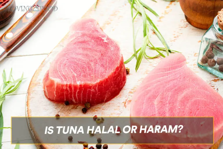 is-tuna-halal-or-haram-updated-loving-food