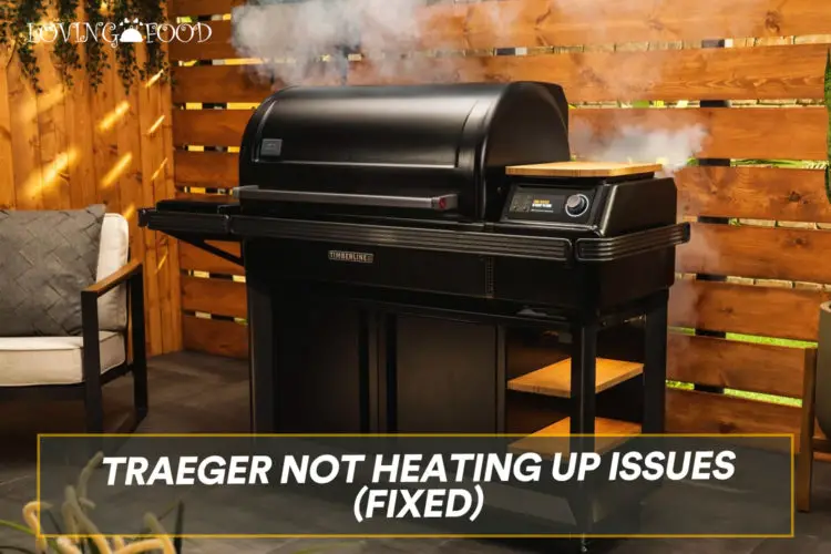 traeger won t stay at 180