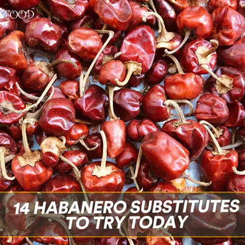 14 Habanero Substitutes to Try Today