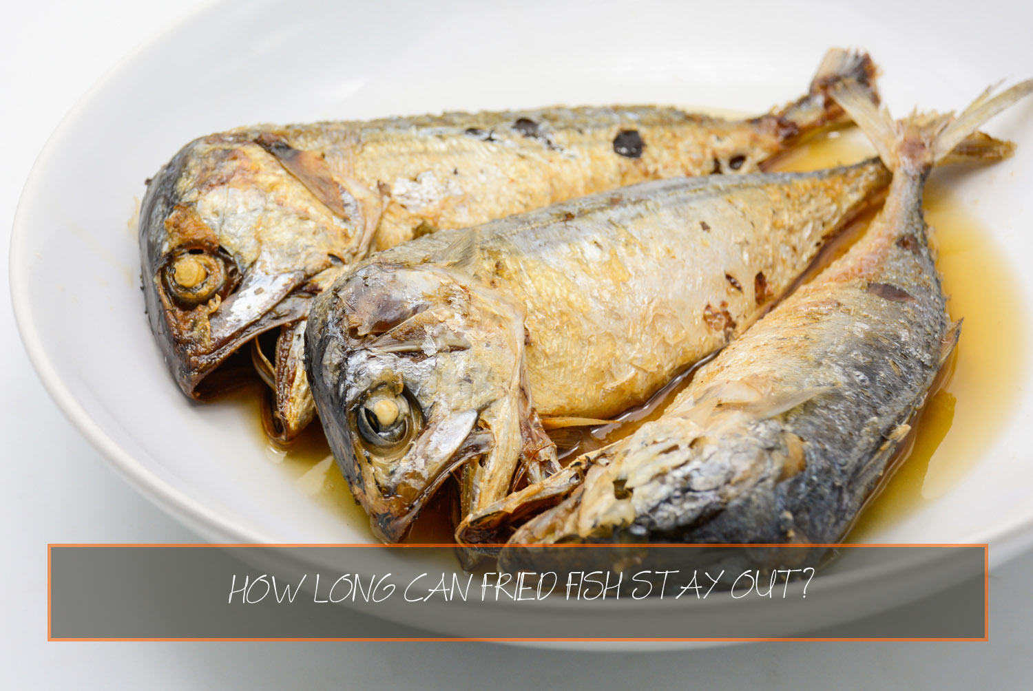 how-long-can-fried-fish-stay-out-loving-food