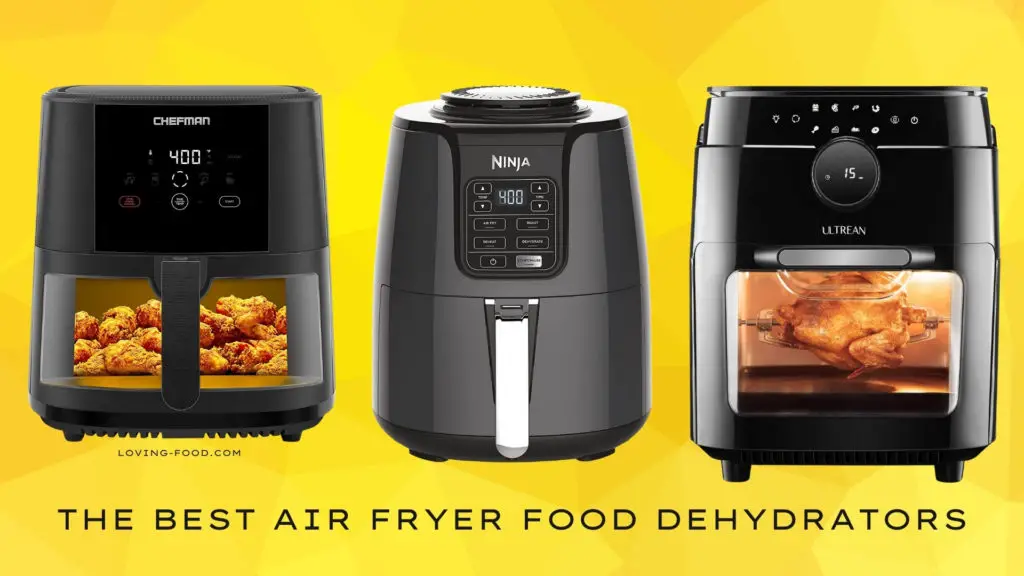 The Best Air Fryer Food Dehydrators 2022: Based On Research