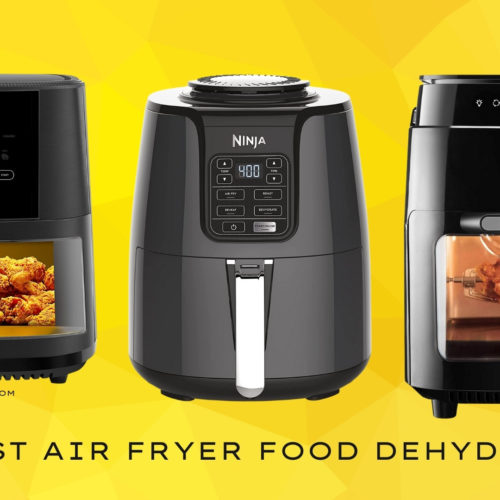 The Best Air Fryer Food Dehydrators 2022: Based On Research