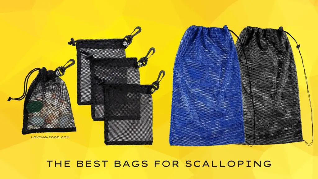 The Best Bags For Scalloping