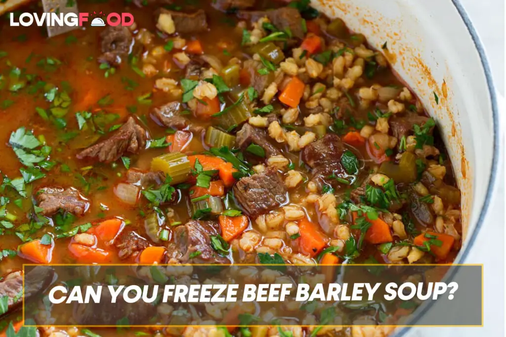 Can You Freeze Beef Barley Soup?