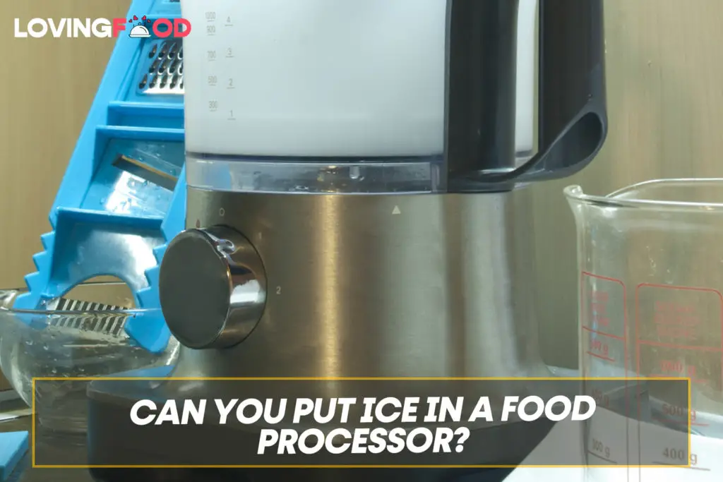 Can You Put Ice In A Food Processor?