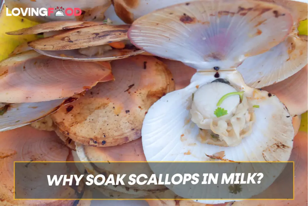 Why Soak Scallops In Milk?