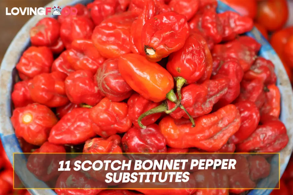 11 Scotch Bonnet Pepper Substitutes