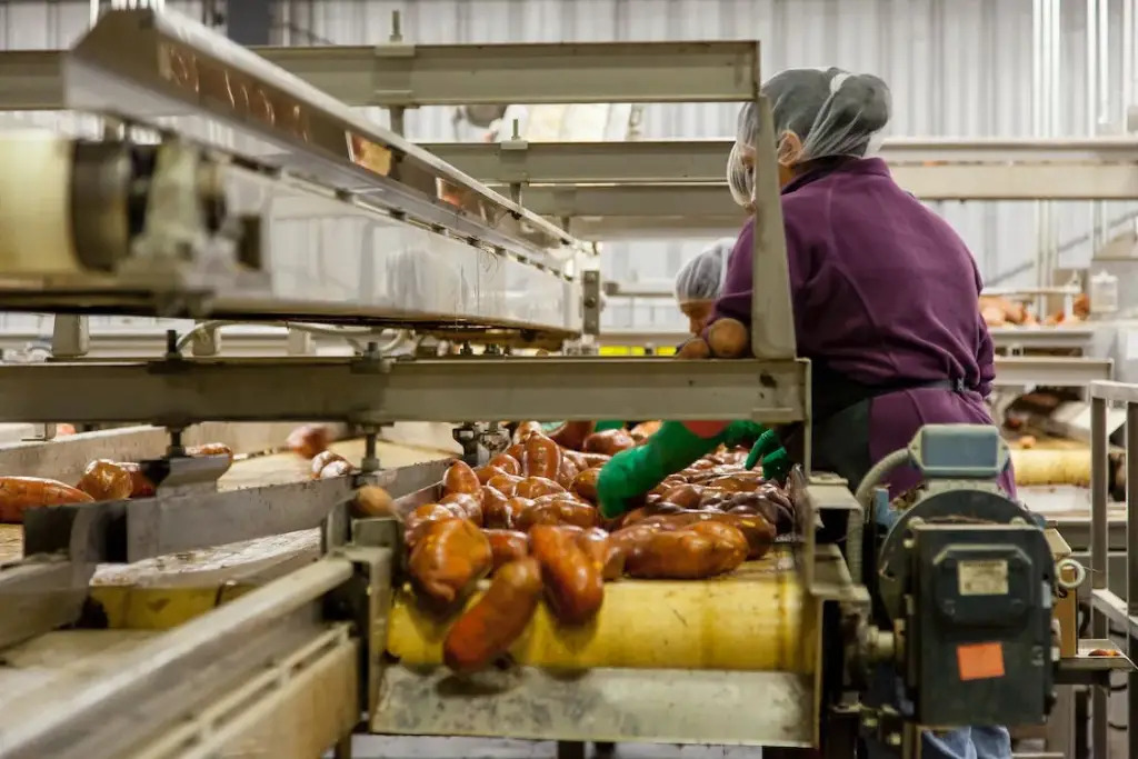 sausages in factory